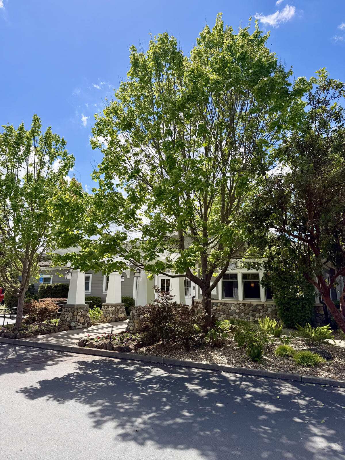 outside of a building entrance with flowers and trees